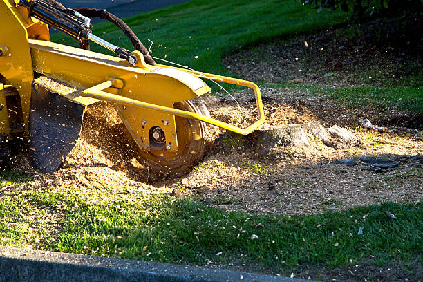 Best Artificial Turf Installation  in Gresham Park, GA