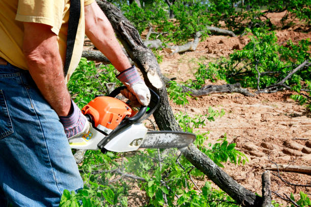 Best Lawn Irrigation Installation and Maintenance  in Gresham Park, GA